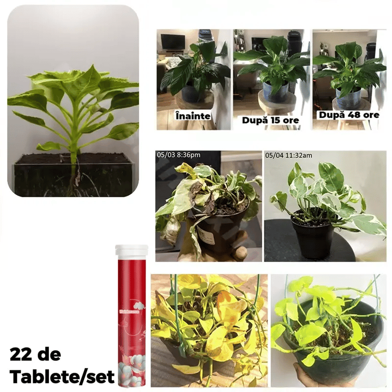 Tabletele nutritive de fertilizare - Evoplant™