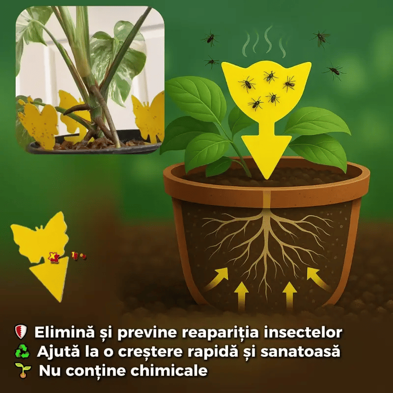 GardianulPlantei™ - Soluția naturală pentru o creștere sănătoasă