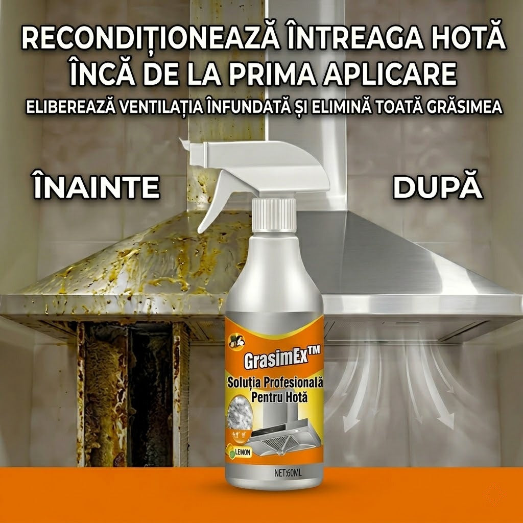 GrasimEx™ – Soluția Profesională Pentru Hotă